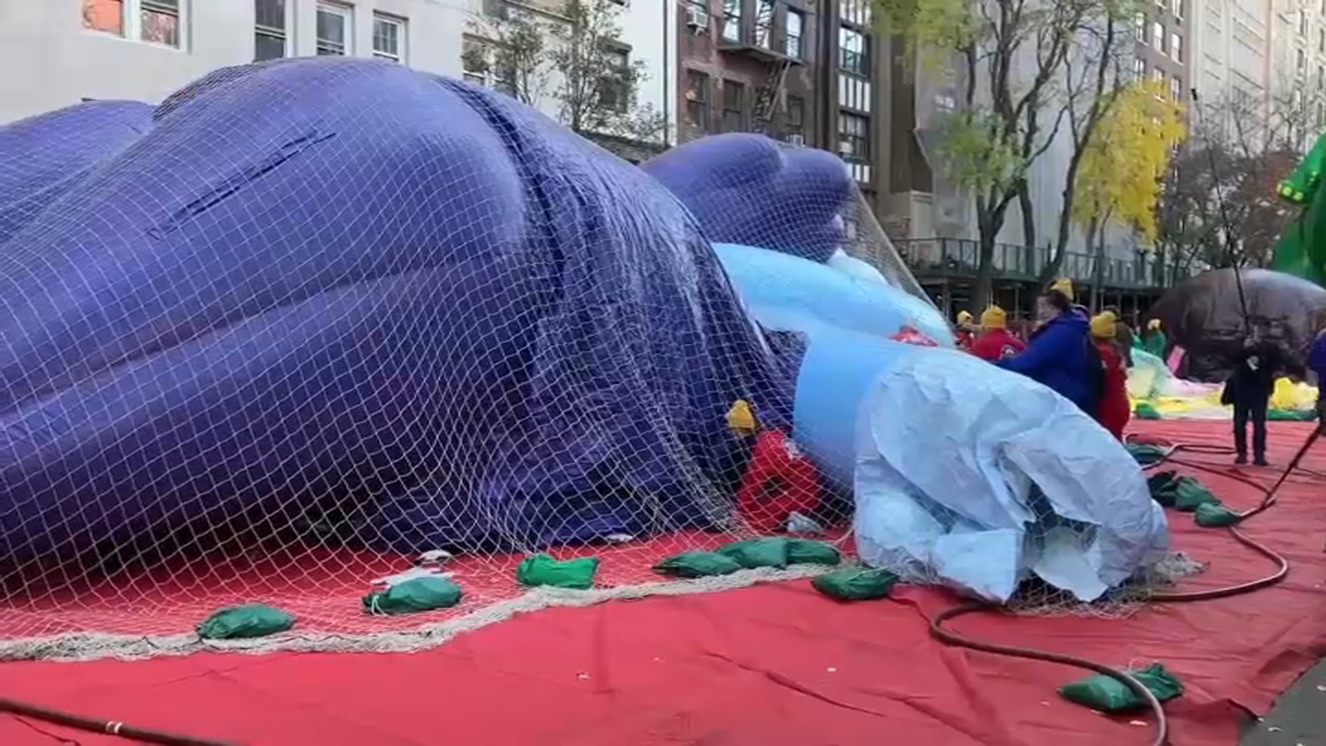 Bluey balloon pops throughout inflation earlier than Macy’s Thanksgiving Day Parade Bluey balloon pops throughout inflation earlier than Macy’s Thanksgiving Day Parade