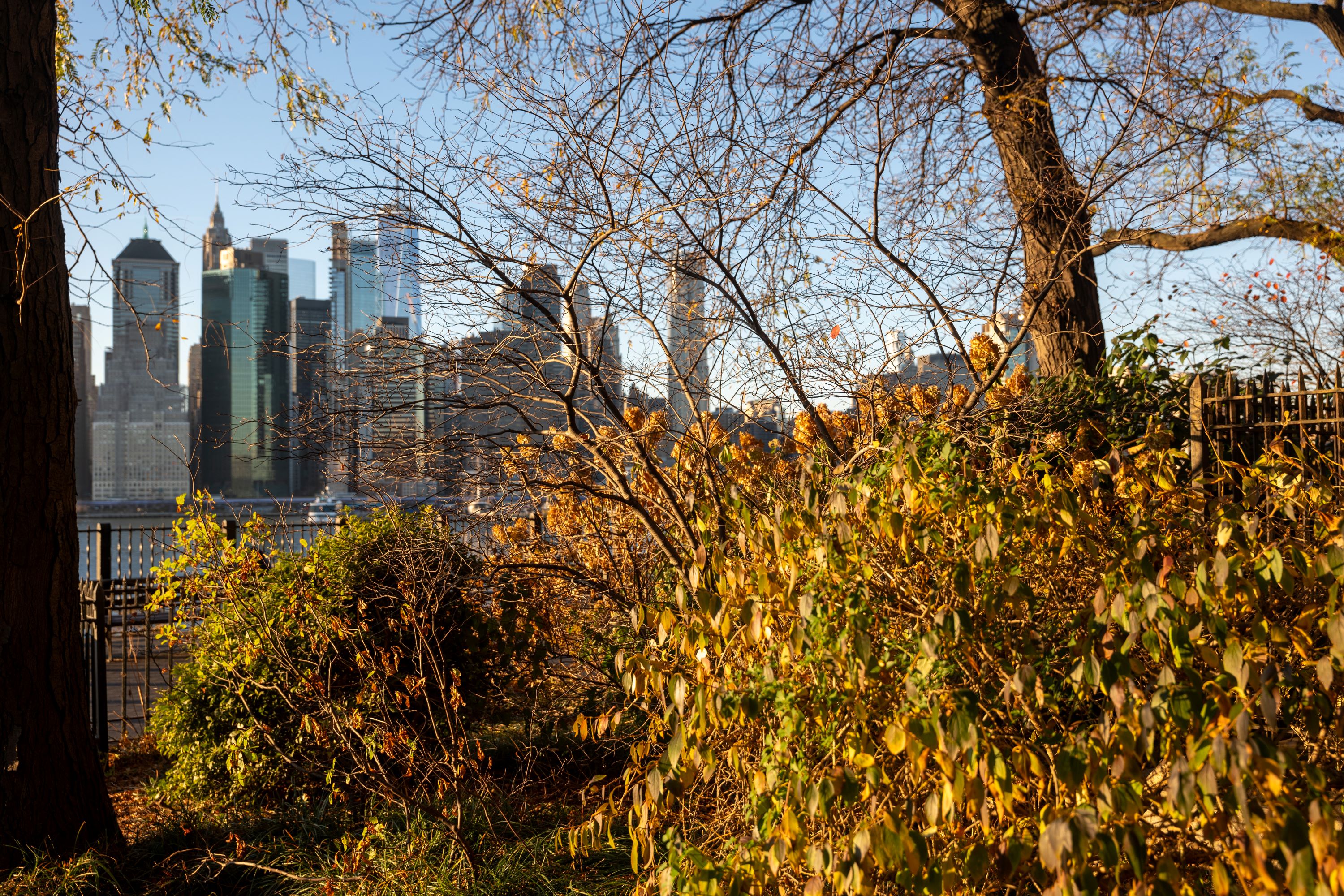New York Metropolis shifts to ‘drought warning’ amid dry situations, lack of rain New York Metropolis shifts to ‘drought warning’ amid dry situations, lack of rain