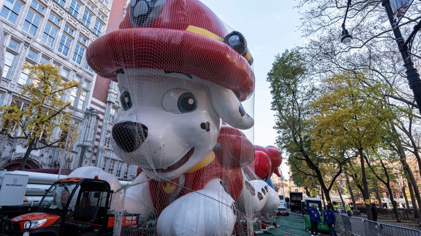 Marshall from Paw Patrol was among the floats being inflated during the MacyÕs Thanksgiving Day Parade balloon inflation in Manhattan Nov. 27, 2024. Over thirty floats were inflated near the Museum of Natural History in preparation for the 98th annual Macy’s Thanksgiving Day Parade.