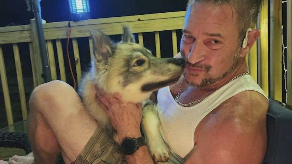 MA coyote news: Northbridge officer kills dog in mistake – NBC New York