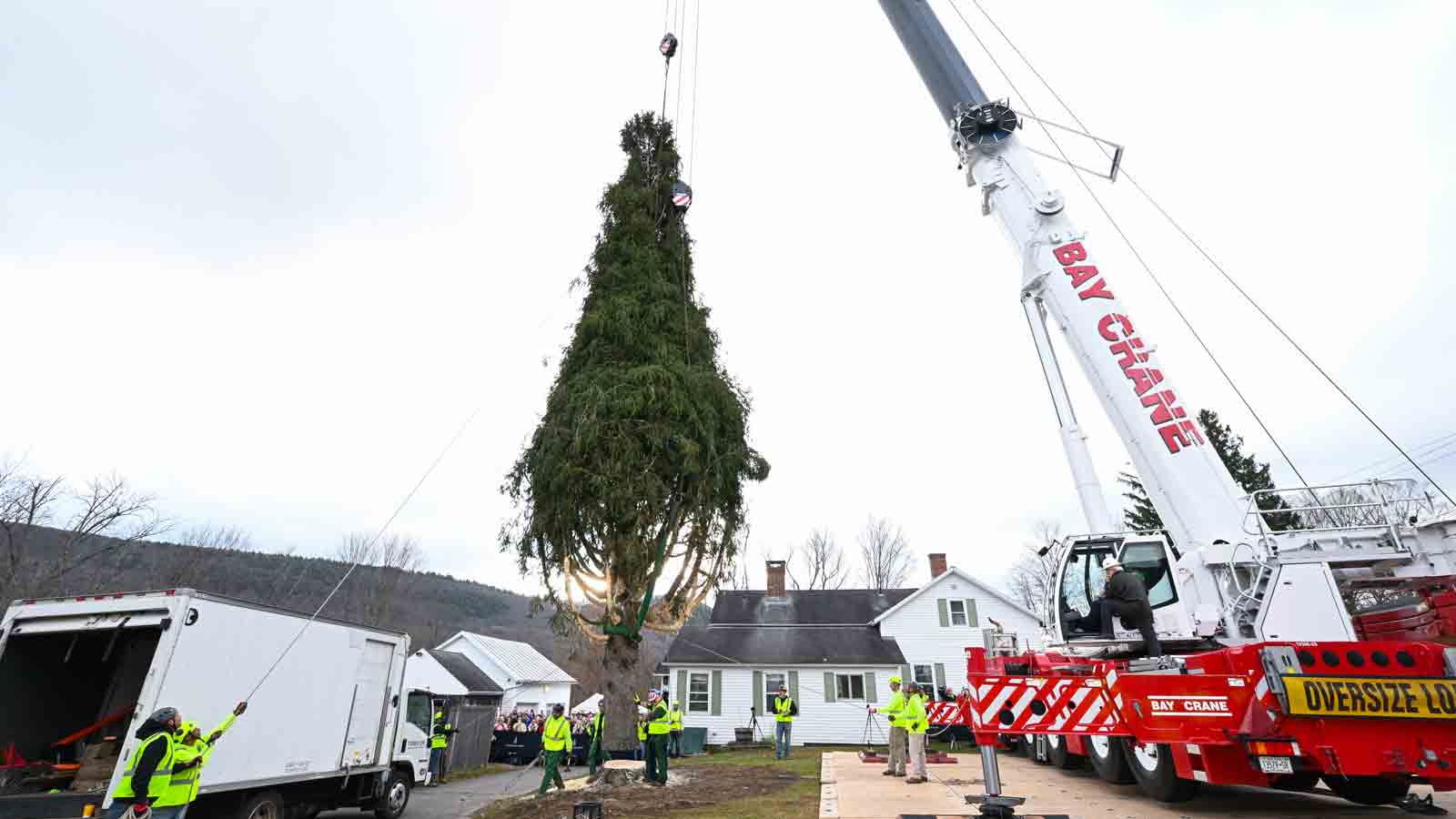 Rockefeller Center Christmas tree: What to know – NBC New York