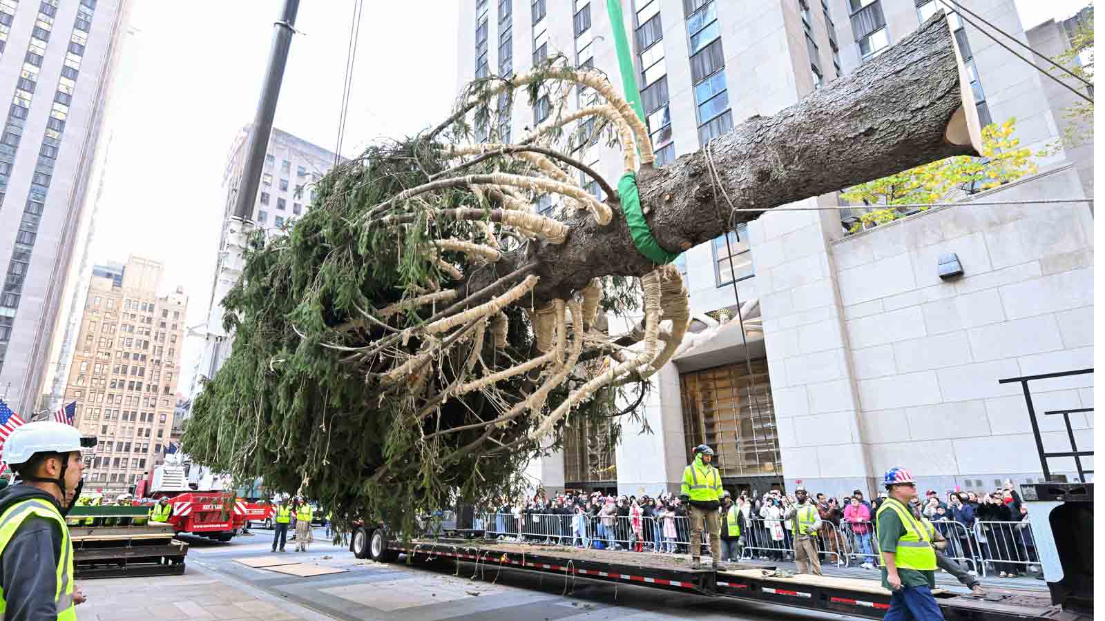 Rock Heart tree comes down in the present day — here’s what’s subsequent for the 11-ton Norway Spruce Rock Heart tree comes down in the present day — here’s what’s subsequent for the 11-ton Norway Spruce