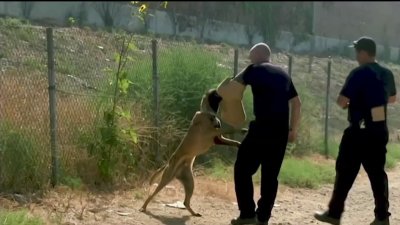 Debate over use of police service dogs in San Diego heats up