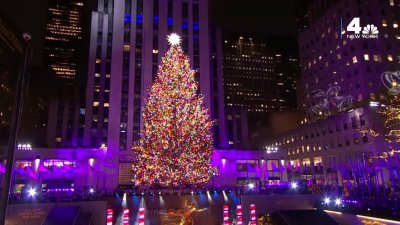 Rockefeller Center Christmas Tree: What happens to the tree after it comes down?