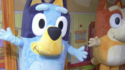 Children of all ages can get immersed in world of Bluey at King of Prussia Mall