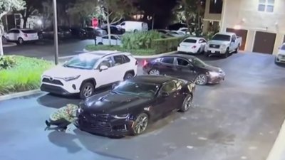 Surveillance shows luxury vehicles stolen from Coral Springs neighborhood