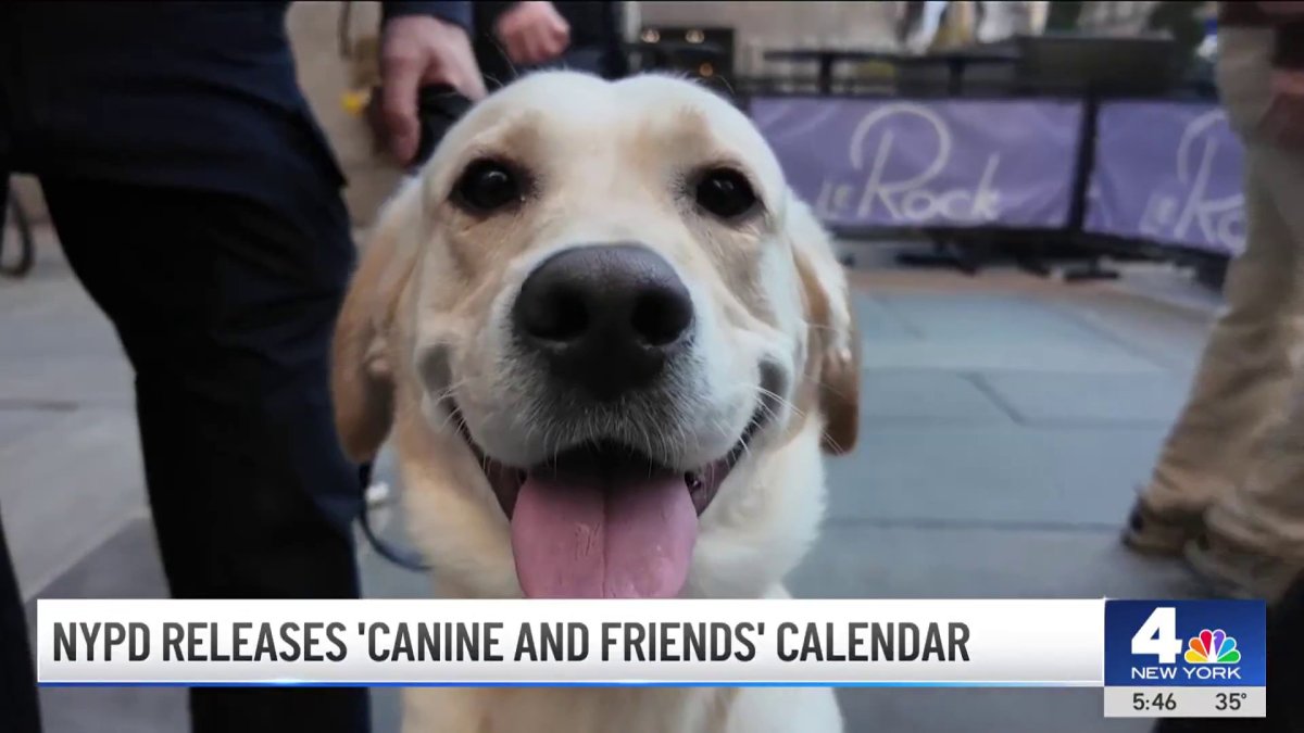 NYPD releases ‘Canine and Friends’ calendar NBC New York