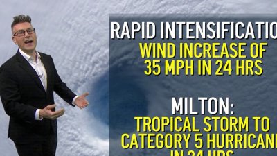 The impact of rapid intensification