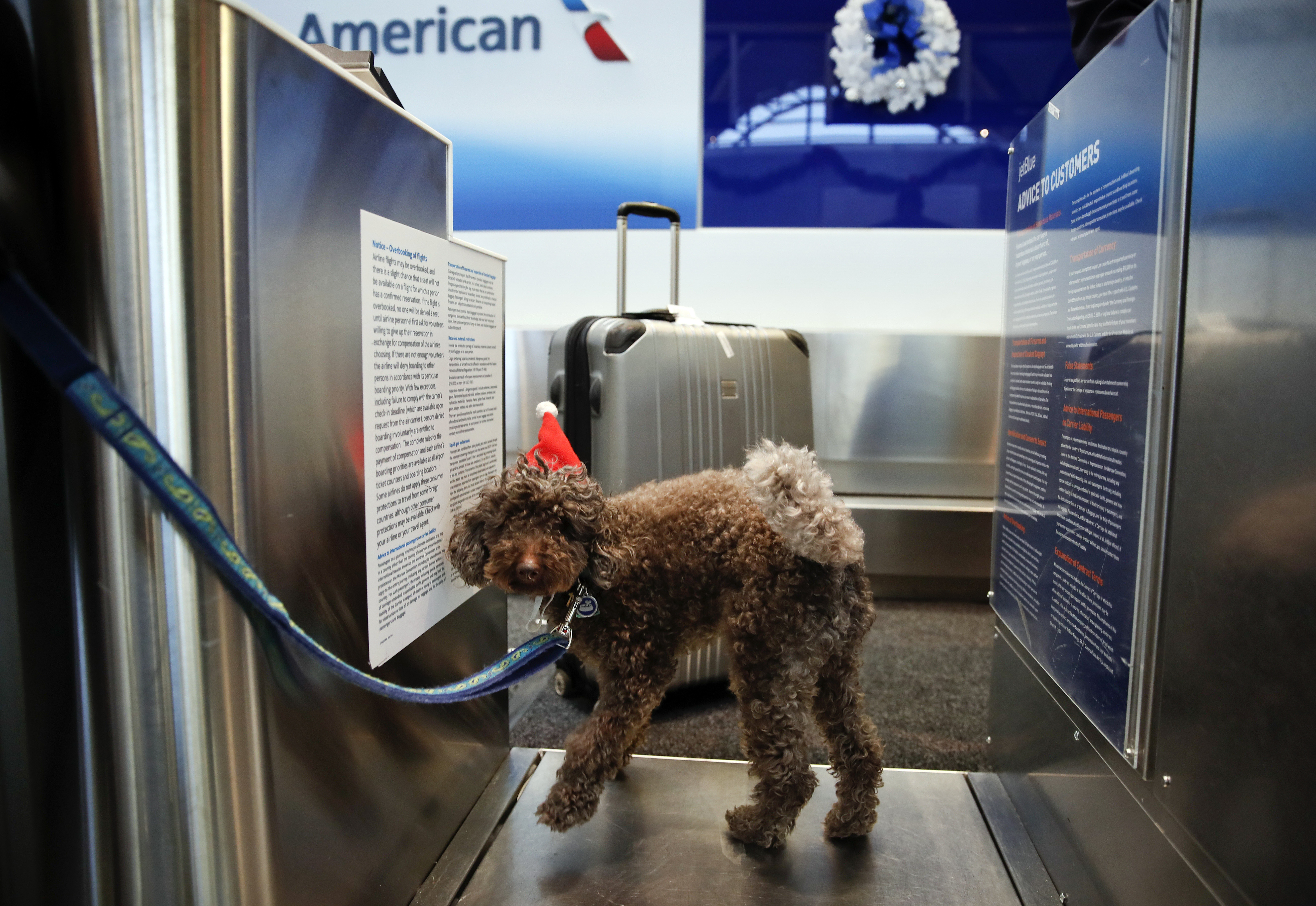 How correct are airport baggage scales? What to know earlier than touring How correct are airport baggage scales? What to know earlier than touring