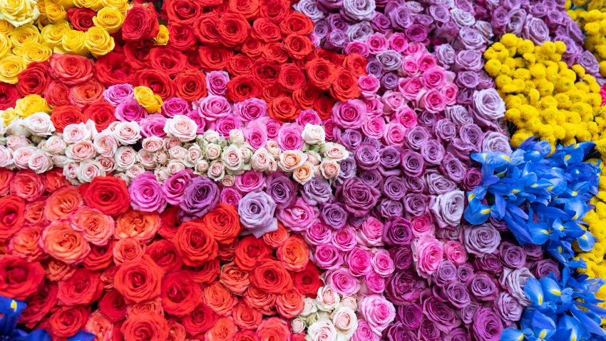 Multi-colored flowers arranged in designs on a float for the Pasadena Rose Parade