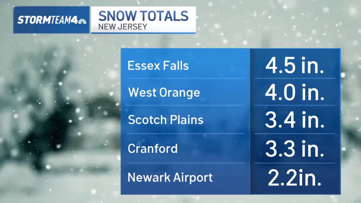 NYC's First Snowfall: How Much Snow Did Your Neighborhood Get?