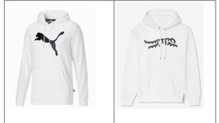 Side-by-side comparison showing the Puma logo (L) and the Sun Day Red Tiger logo (R).