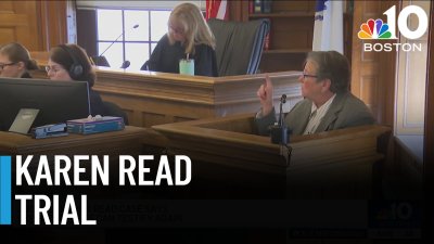 Karen Read trial | Dog bite expert will be allowed to testify