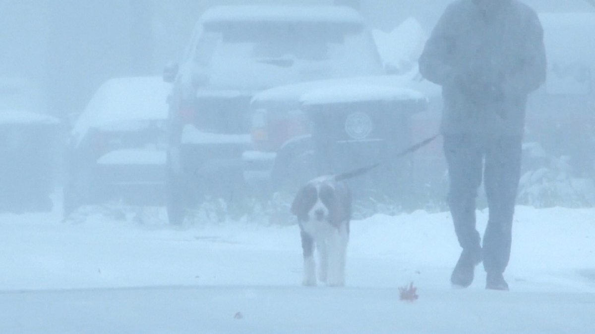 VIDEO: Rare winter storm grips southern and eastern U.S. – NBC New York