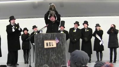 NJ town struggles to find groundhog replacement