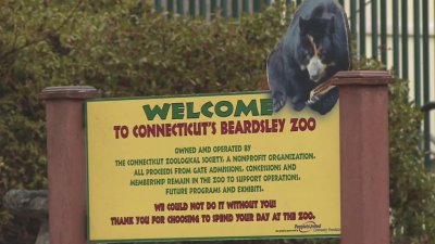 Bird flu closes part of Beardsley Zoo in Connecticut