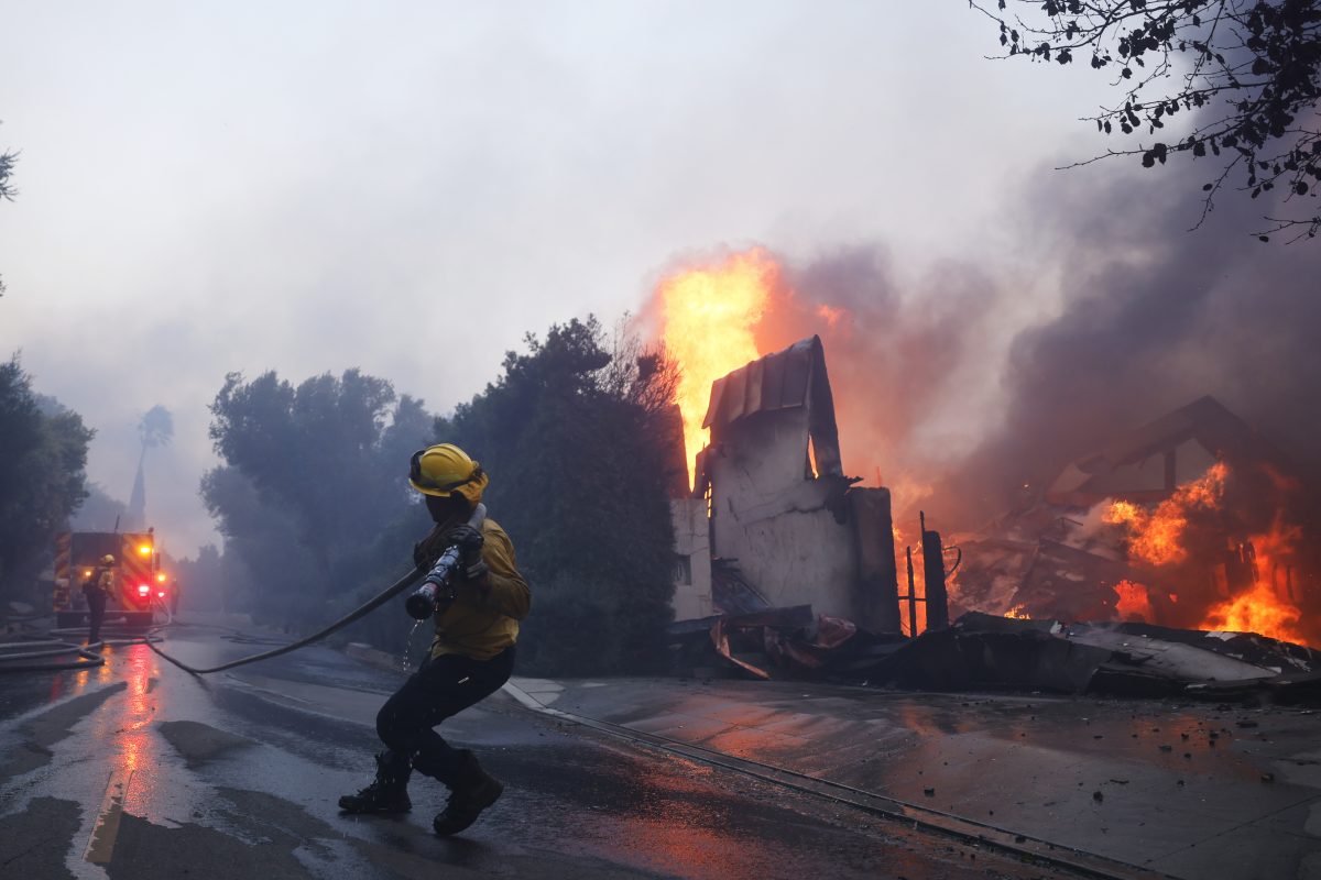 Did metropolis, LAFD put together sufficient for Palisades Fireplace? This is what we all know Did metropolis, LAFD put together sufficient for Palisades Fireplace? This is what we all know