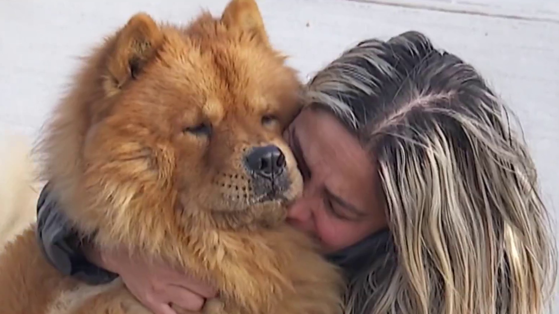 Girl jumped into Lengthy Island canal to avoid wasting her canine. Then she wanted rescuing, too Girl jumped into Lengthy Island canal to avoid wasting her canine. Then she wanted rescuing, too