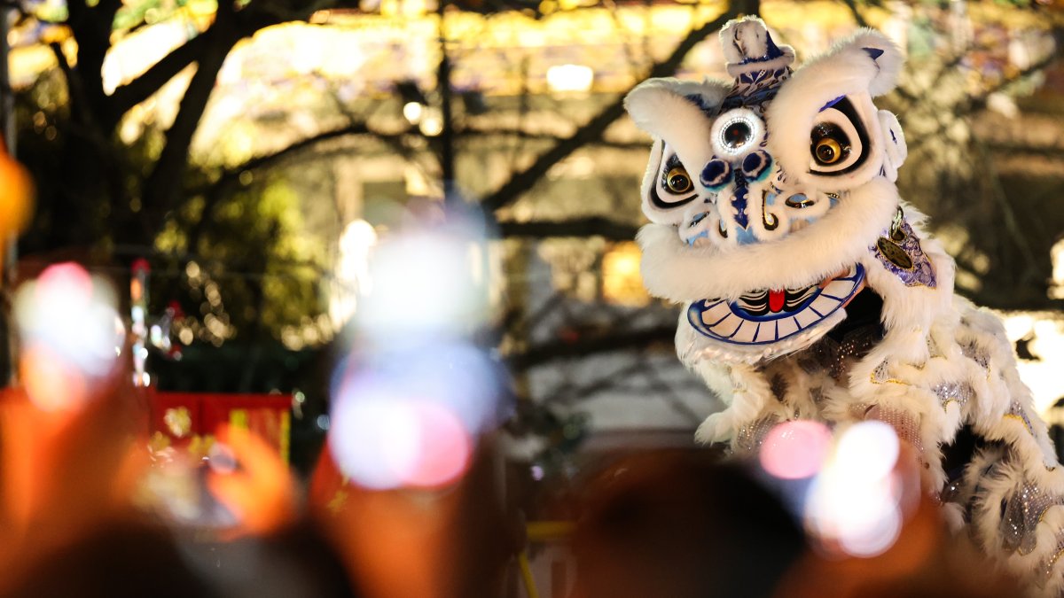 What is Lunar New Year? What to know about the Year of the Snake NBC