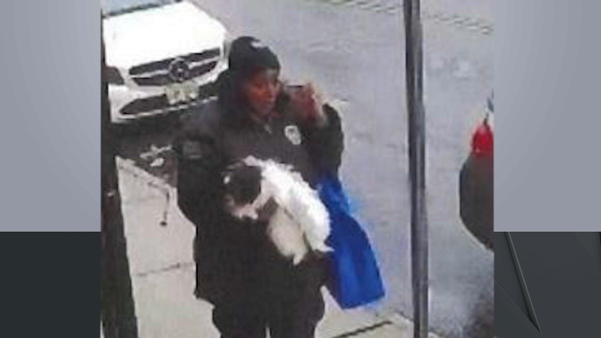 Newark police search for alleged dog thief caught on camera – NBC New York