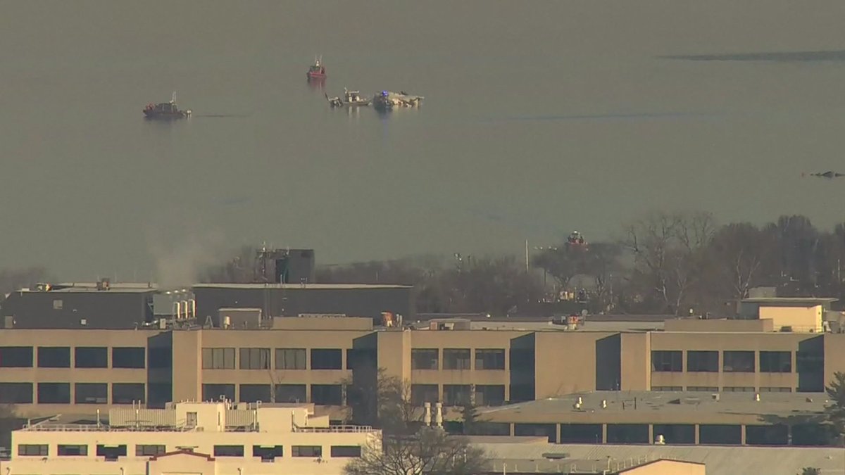 Family Sues FAA, Army Over Deadly DC Crash | VT News
