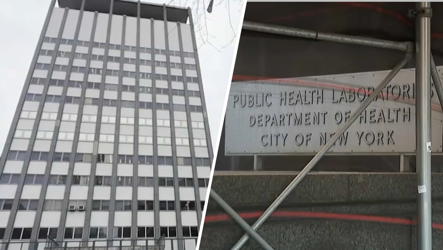 Lawmaker drafting invoice to dam Metropolis Corridor staffers from offers involving former employers Lawmaker drafting invoice to dam Metropolis Corridor staffers from offers involving former employers