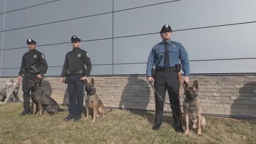 K9 officers lined up