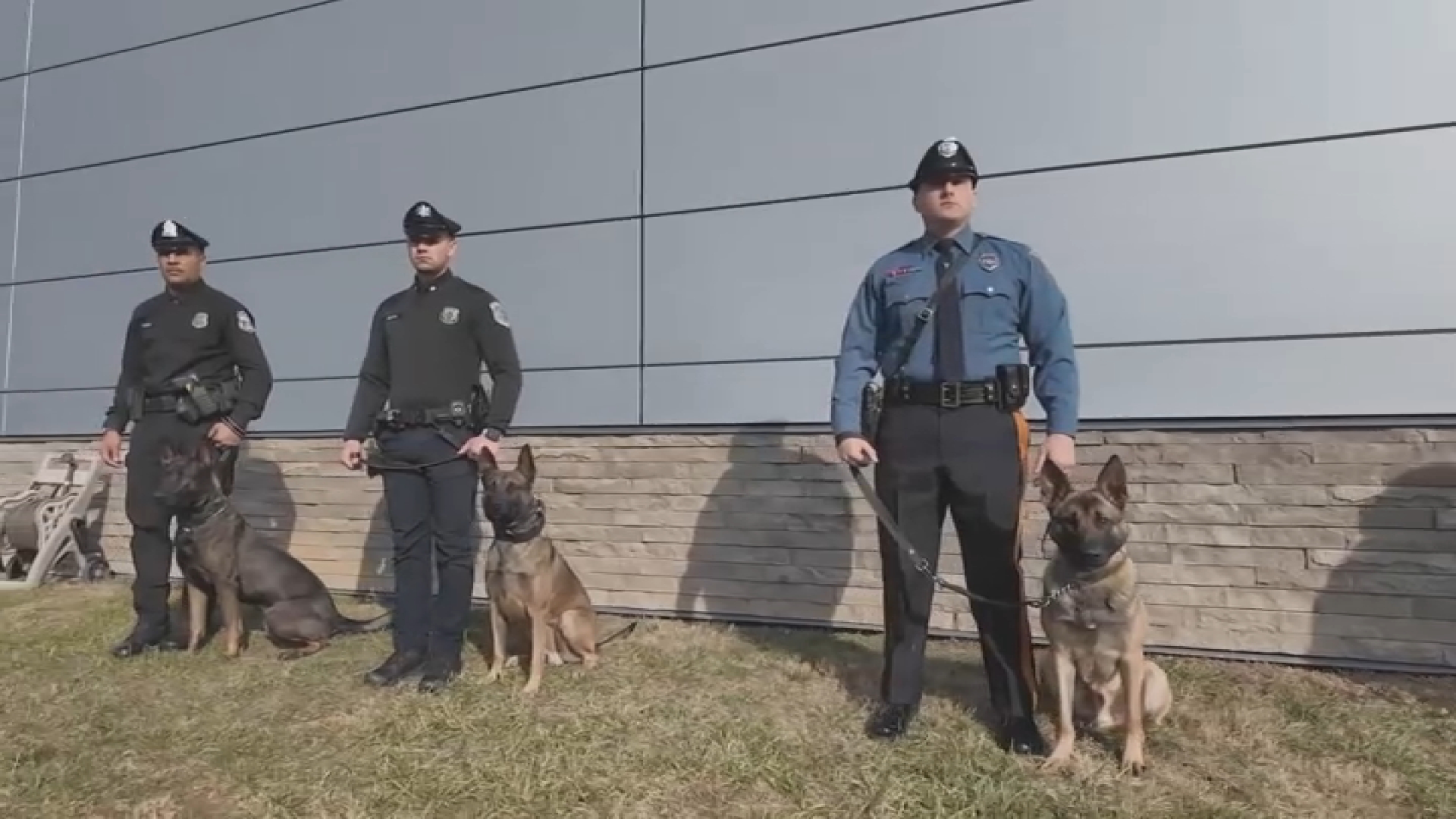 New 4-legged officers will likely be hitting the streets, conserving neighborhoods secure