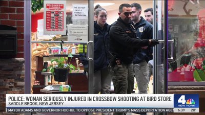 Woman shot in face with crossbow at NJ pet store