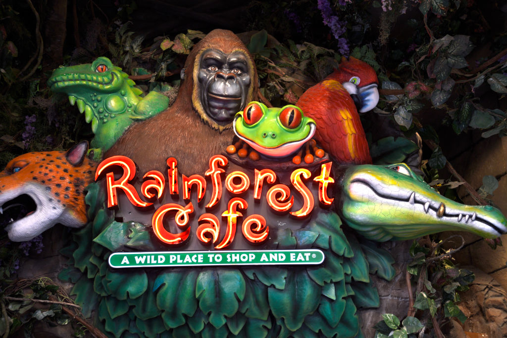Rainforest Cafe closes widespread central NJ location; just one stays in state Rainforest Cafe closes widespread central NJ location; just one stays in state