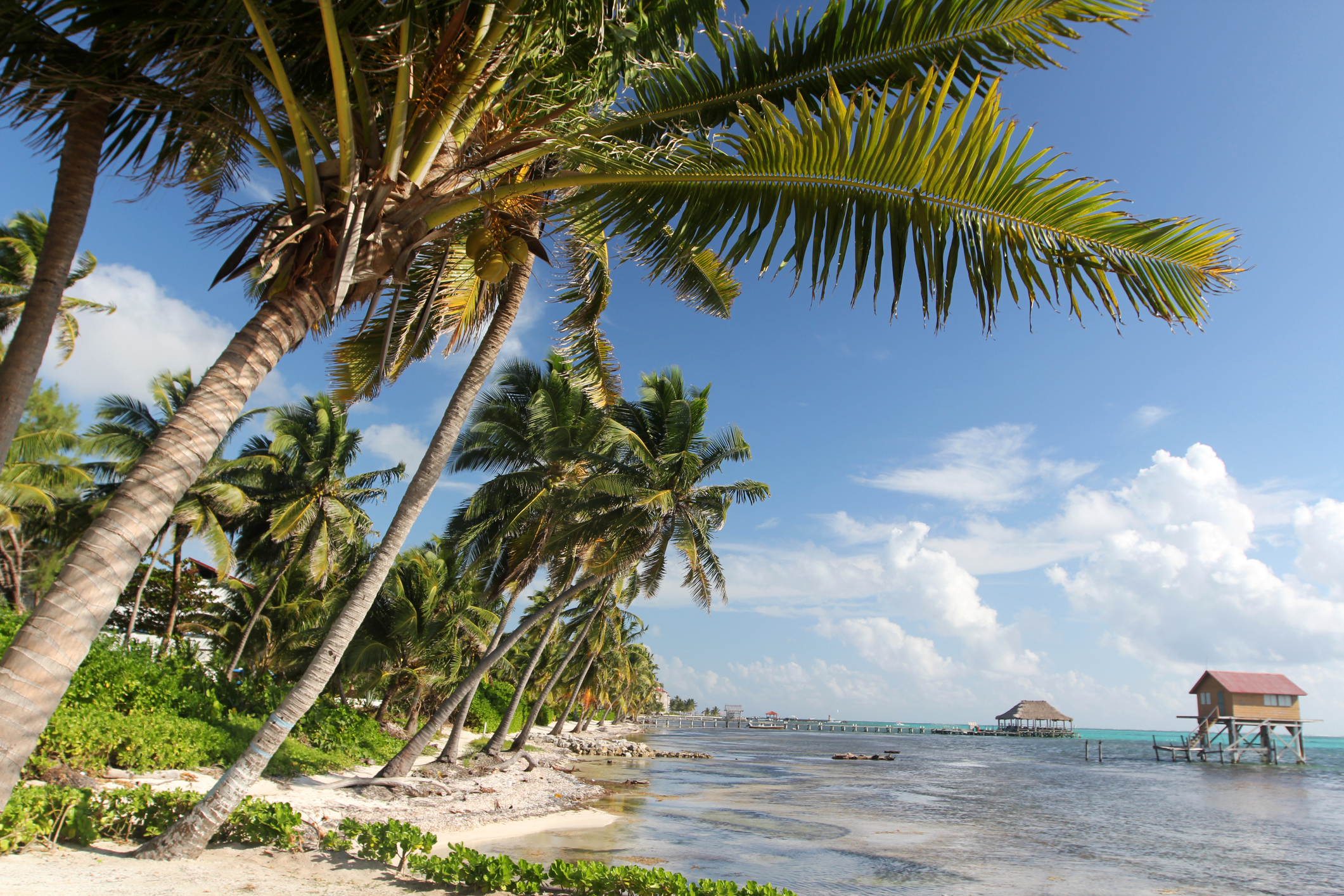 3 American women found dead in hotel at Belize beach resort