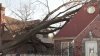 Tree falls on home in Queens, high winds possibly to blame; no injuries reported