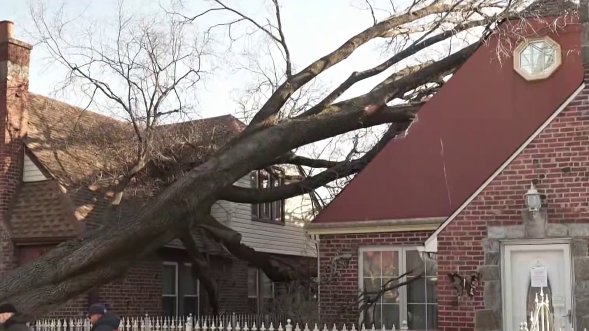 Tree falls on residence in Queens, excessive winds probably responsible; no accidents reported Tree falls on residence in Queens, excessive winds probably responsible; no accidents reported