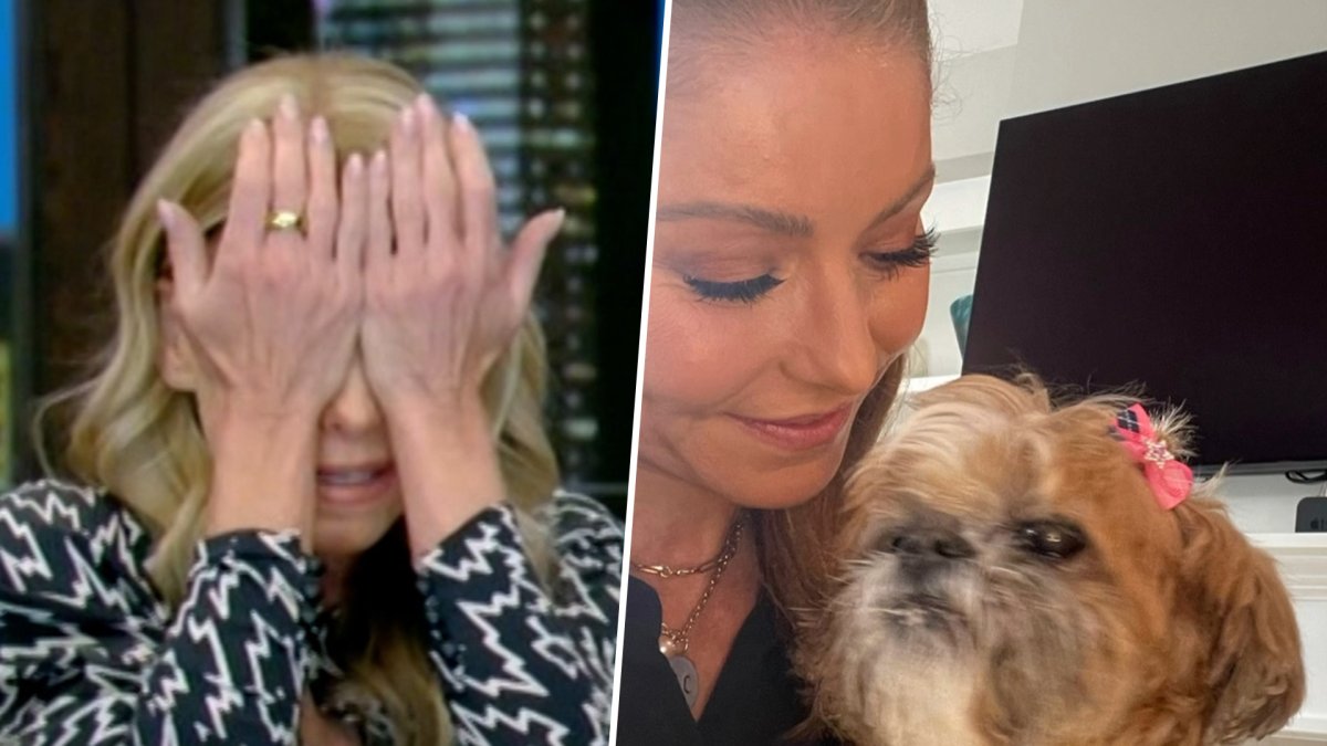 Kelly Ripa breaks down on live TV over beloved dog’s death – NBC New York