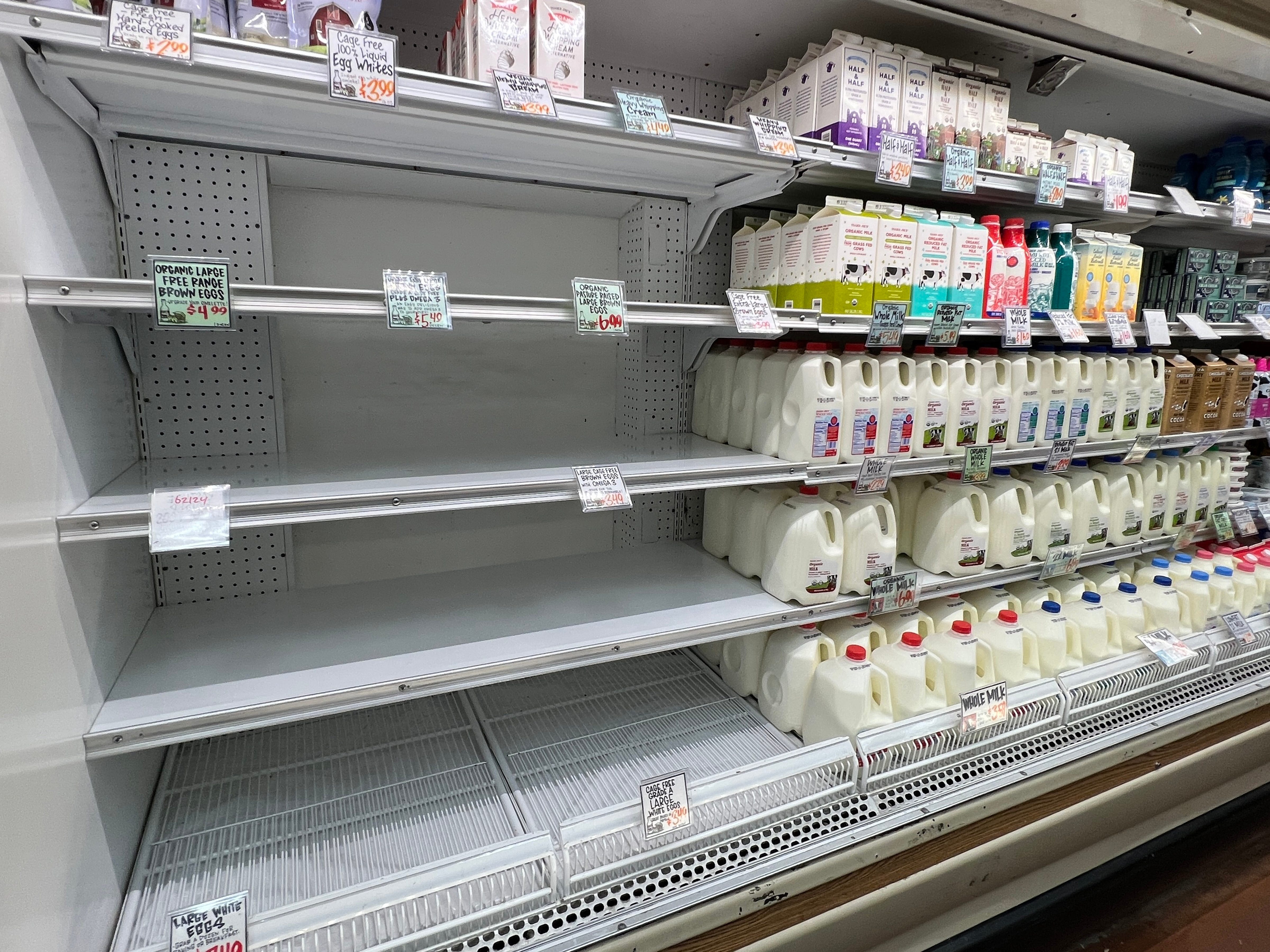 Dealer Joe’s is limiting egg purchases in any respect U.S. shops: What to know Dealer Joe’s is limiting egg purchases in any respect U.S. shops: What to know