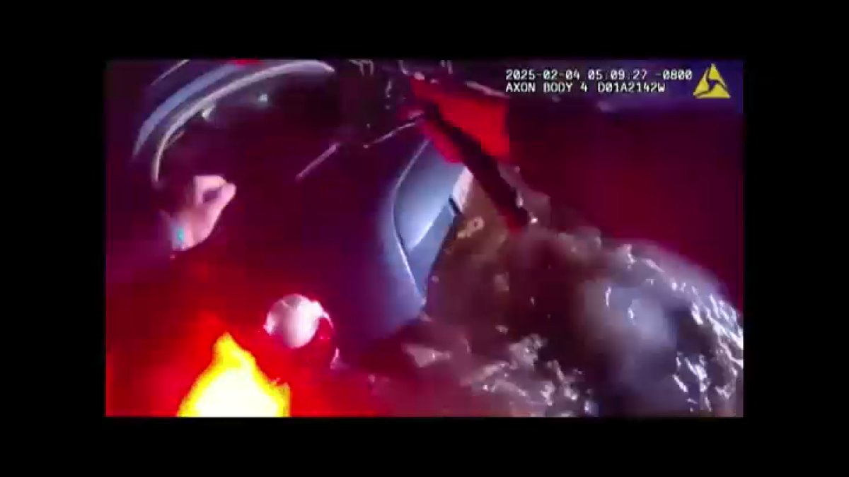 Marin County deputy rescues driver from submerged car – NBC New York