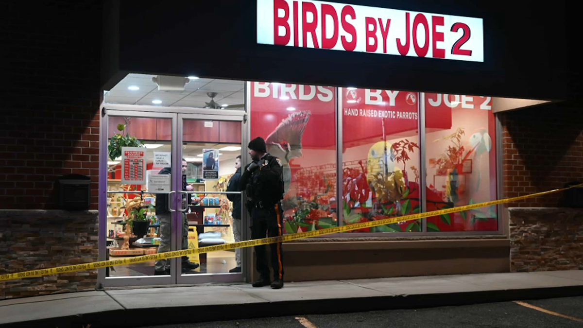 NJ Pet Store Owner Shot with Crossbow After Recent Parrot Theft