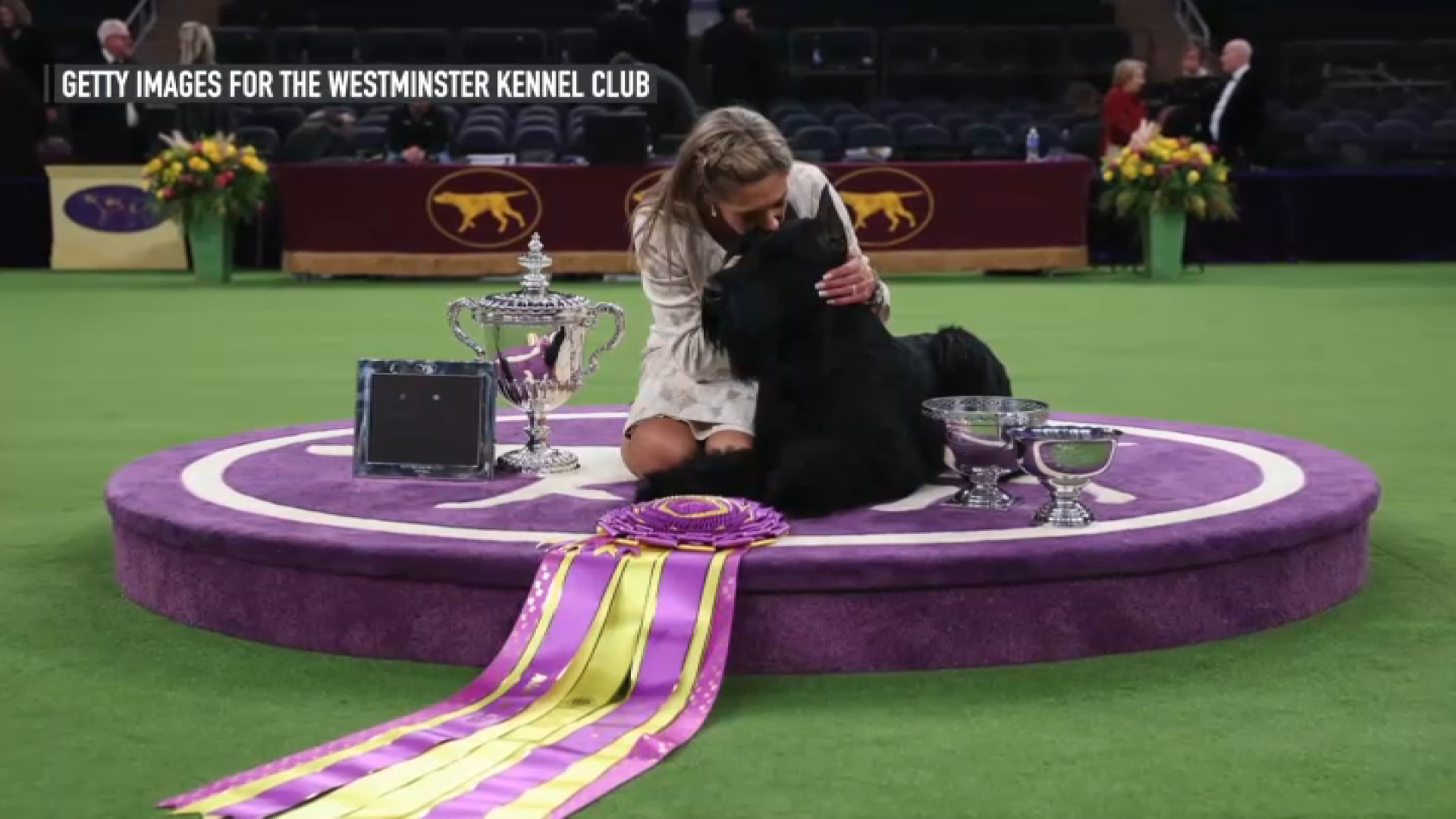 Monty the champion: NJ canine brings dwelling historic win Monty the champion: NJ canine brings dwelling historic win