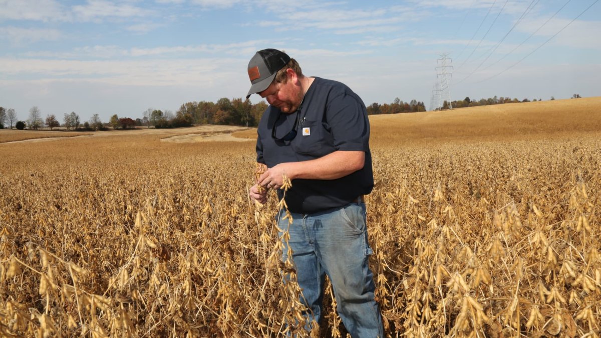 How Trump’s trade policy is put pressure on American farmers – NBC New York