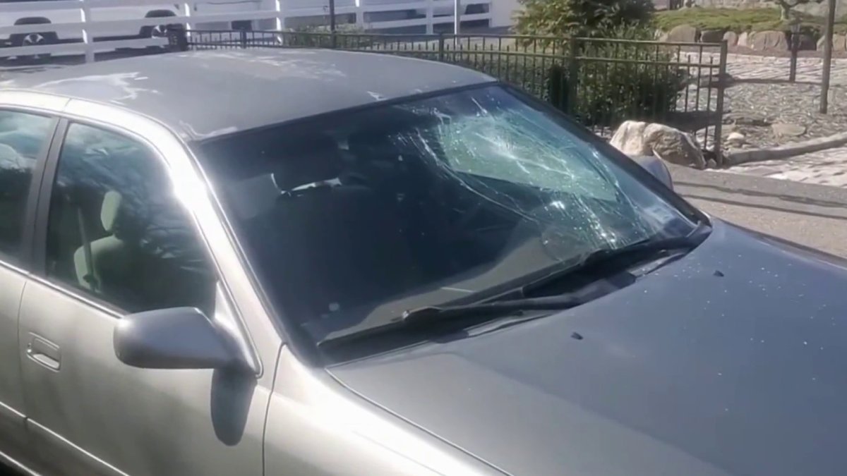Police search for suspect who vandalized cars on Long Island – NBC New York