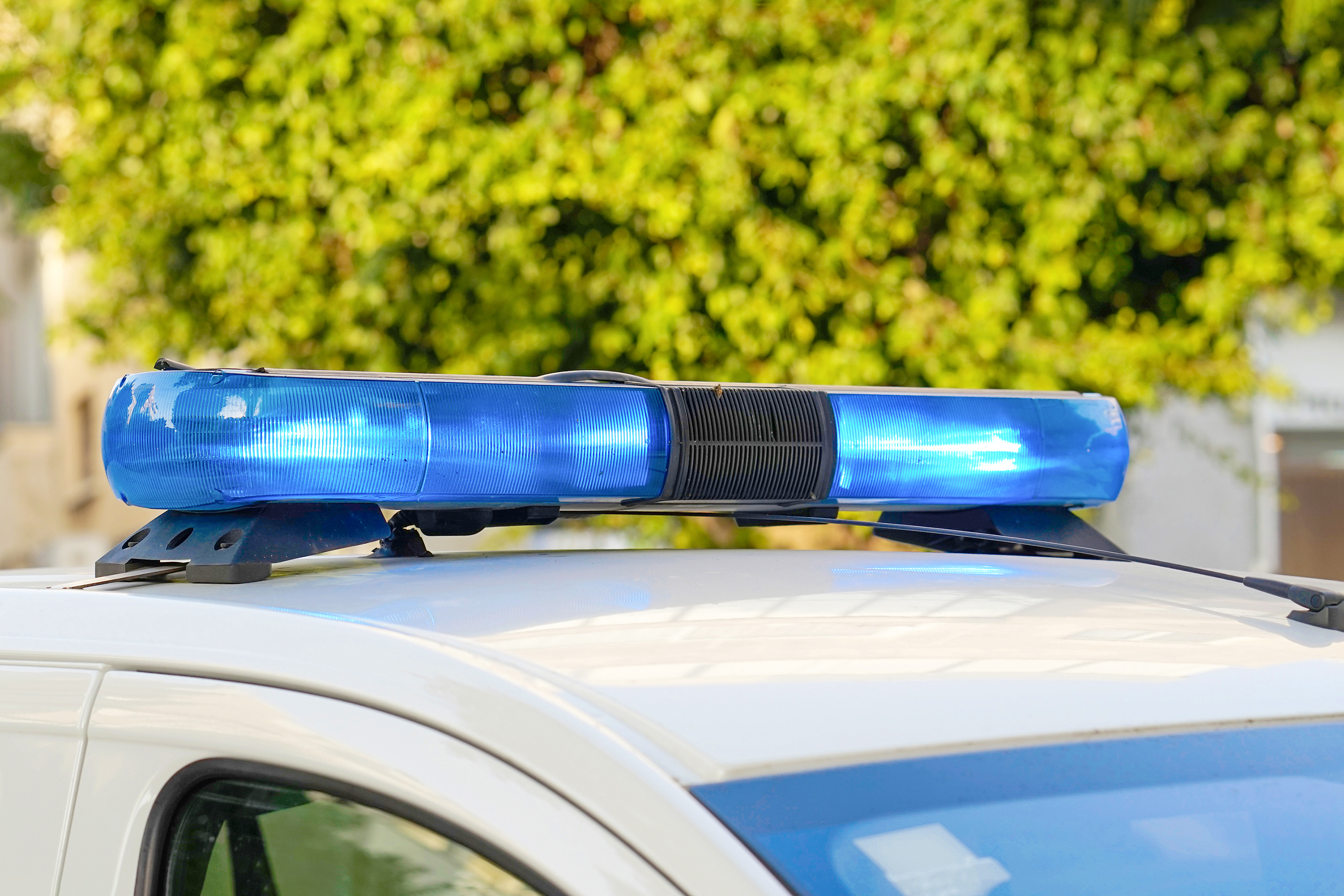 Lady stabs attacker in face to cease abduction try in New Jersey: Officers