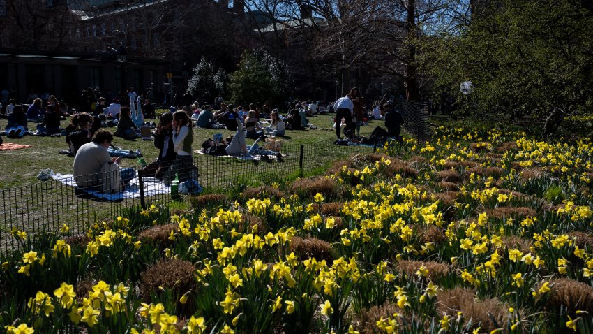 NEW YORK, NEW YORK – MARCH 26: People gather in Washington Square Park as temperatures reach above 60 degrees during the first weekend of spring on March 26, 2023 in New York City. In addition to unseasonably warm temperatures for March, the city is on pace for the least amount of fall-spring snowfall on record in more than 150 years, with only 2.3 inches measured in Central Park. =