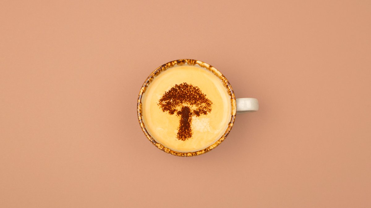 Does mushroom coffee be advantages? Sleep experts, stress – NBC New York