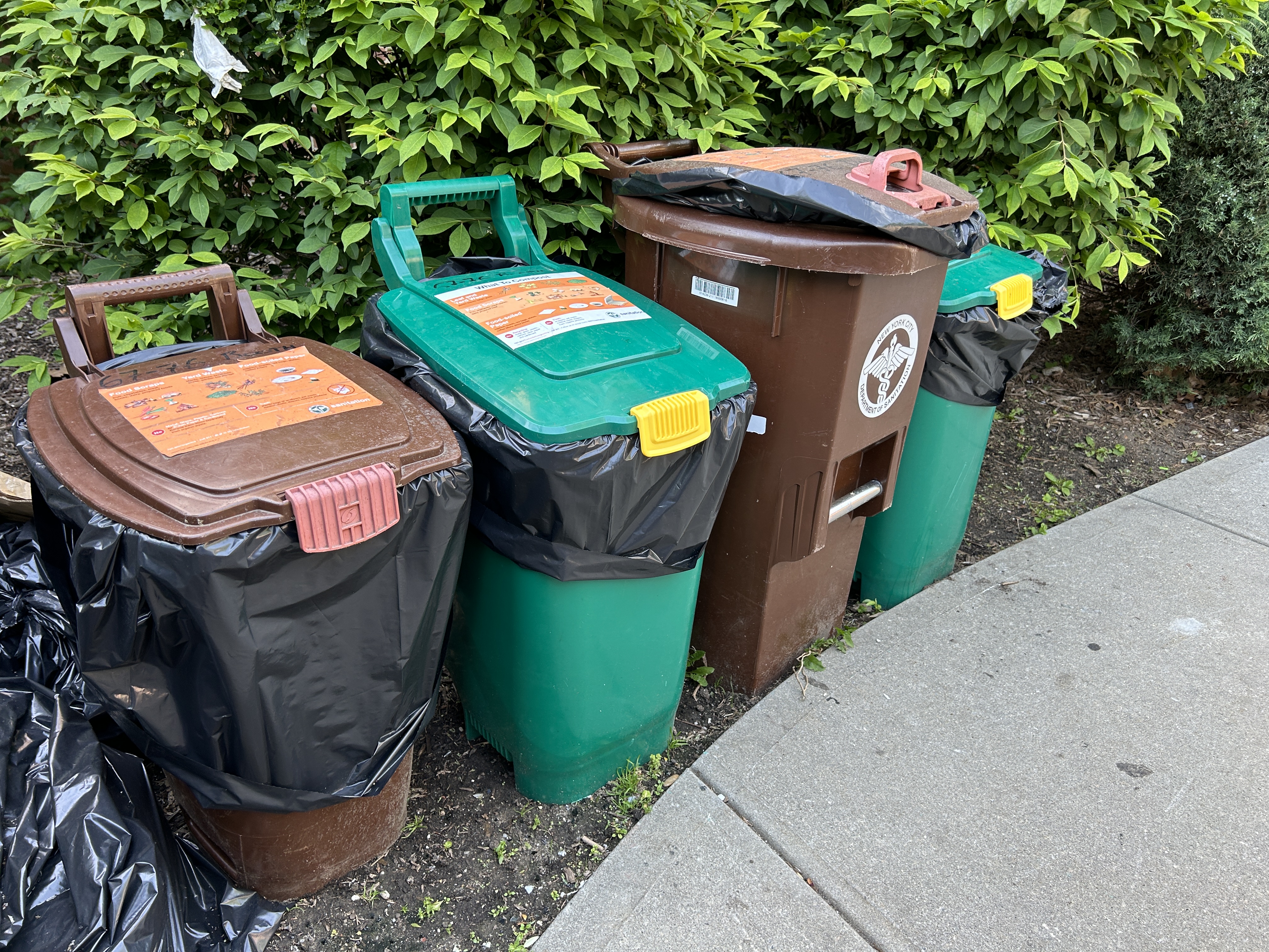 Necessary NYC meals separation begins subsequent week: Fines, what to compost and extra Necessary NYC meals separation begins subsequent week: Fines, what to compost and extra