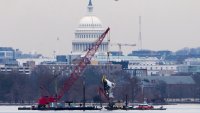 Potomac crash