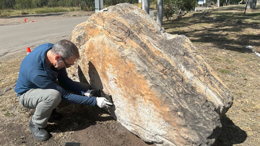 Paleontologist examines boulder in parking lot