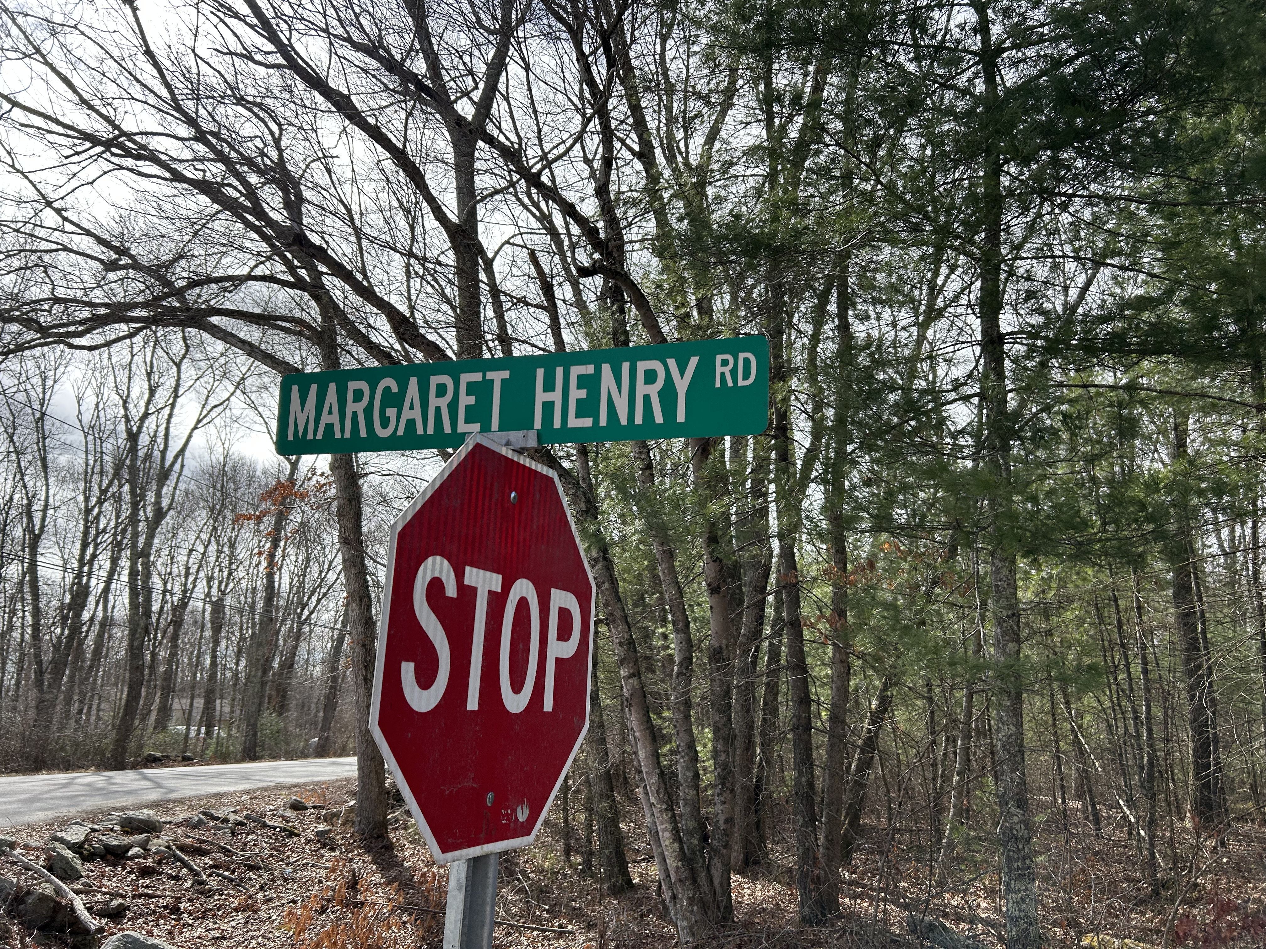 42 animals, residing and lifeless, faraway from Connecticut house