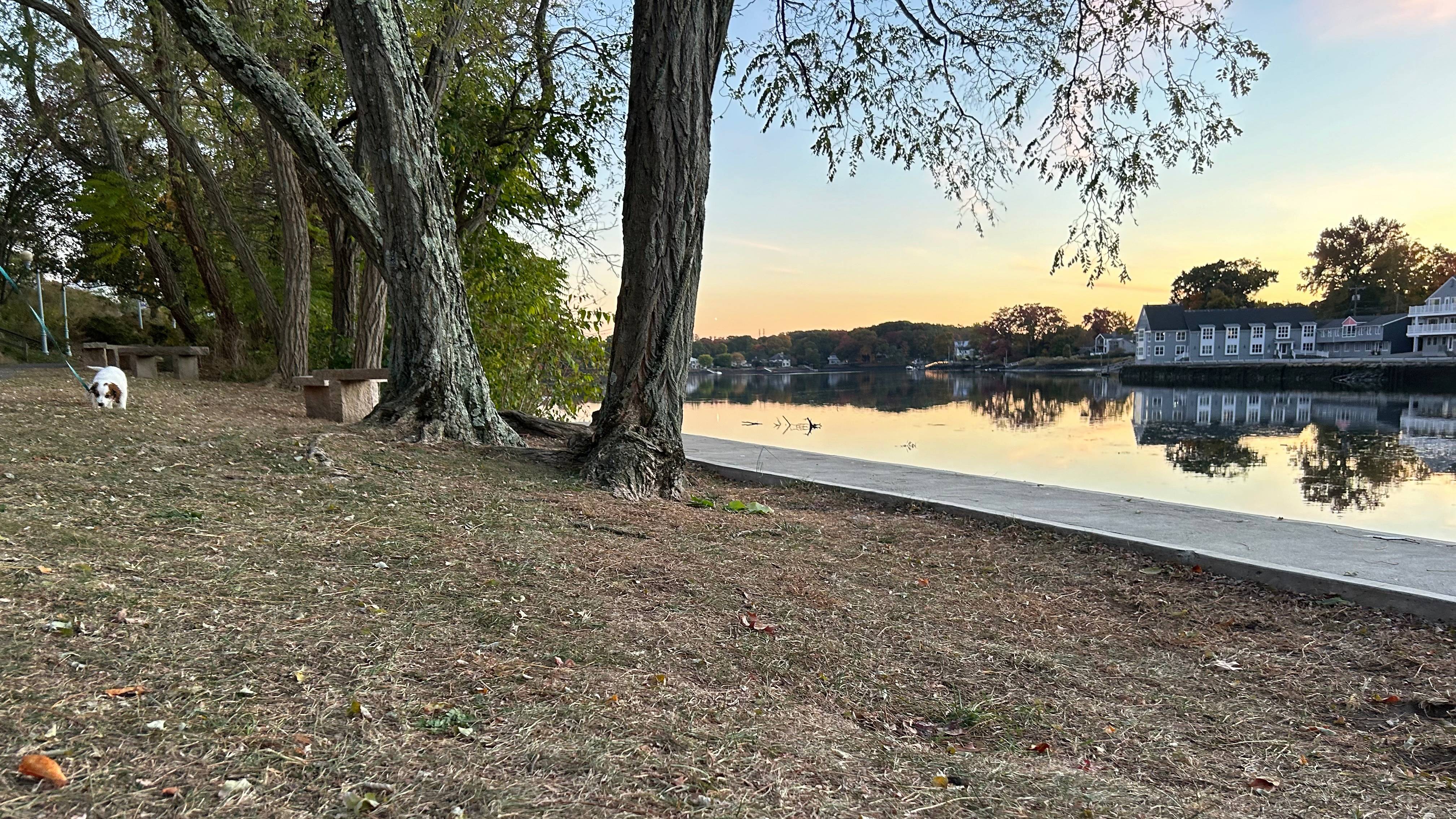 These Westport, CT companies now supply reductions for college kids and lecturers These Westport, CT companies now supply reductions for college kids and lecturers