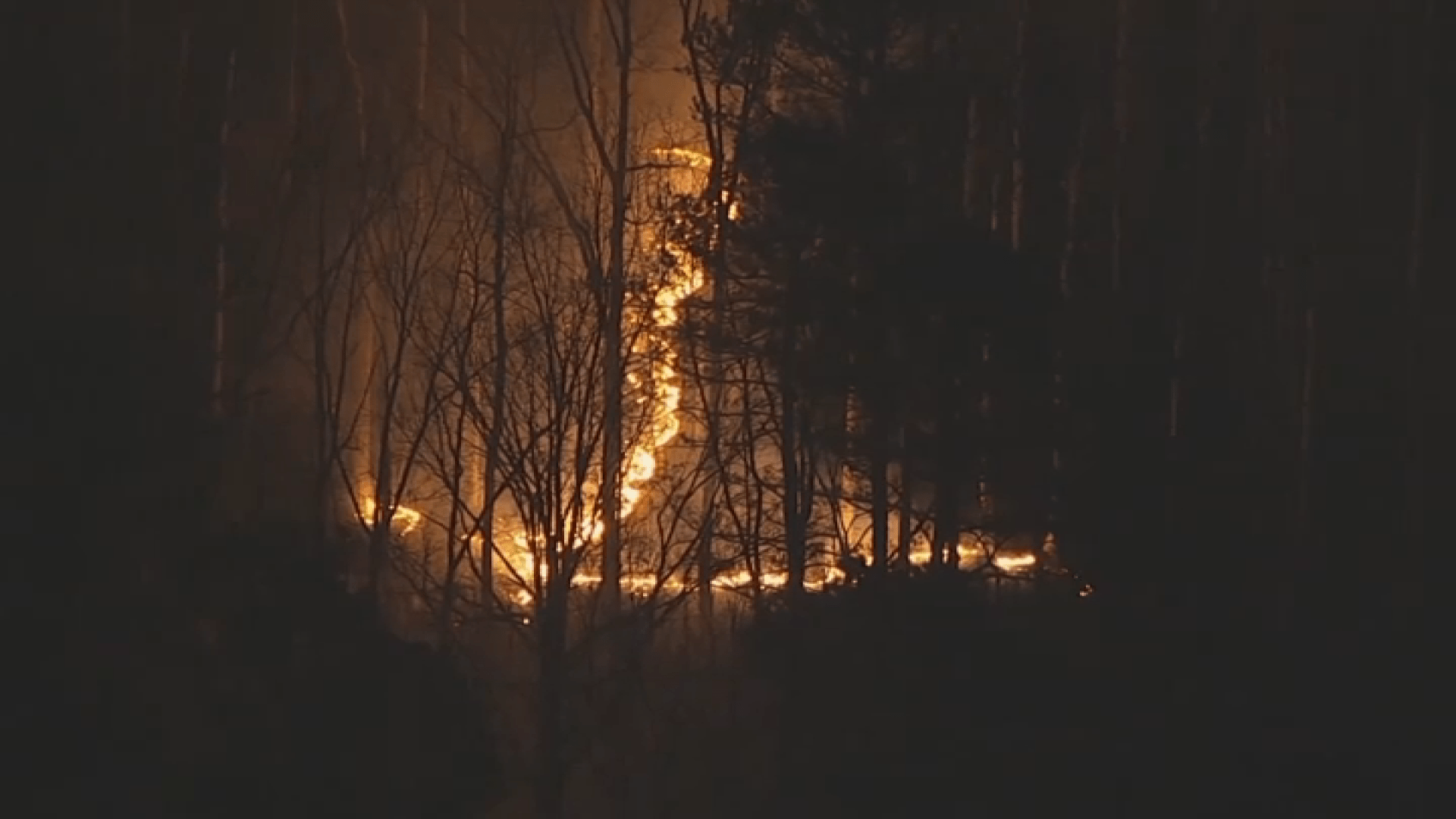 Wildfire 100% contained after blaze burns over 190 acres in New Jersey