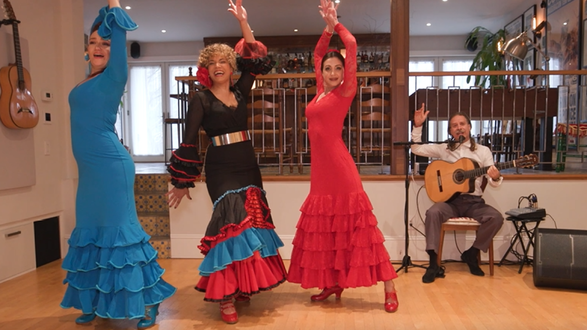 dahiana-flamenco.png?resize=
